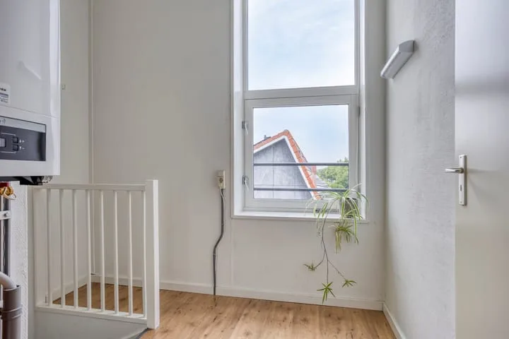 Vlaamse Gaai 9 Zeewolde thumbnail 30