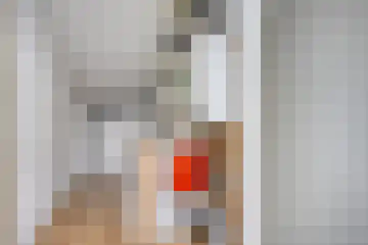 Vlaamse Gaai 9 Zeewolde thumbnail 31