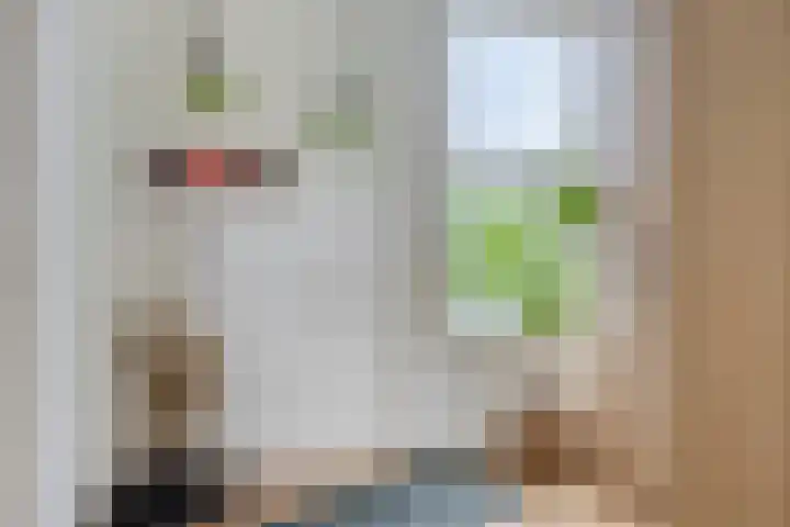 Vlaamse Gaai 9 Zeewolde thumbnail 33