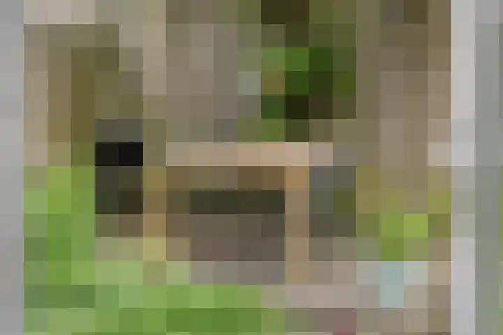 Vlaamse Gaai 9 Zeewolde thumbnail 36