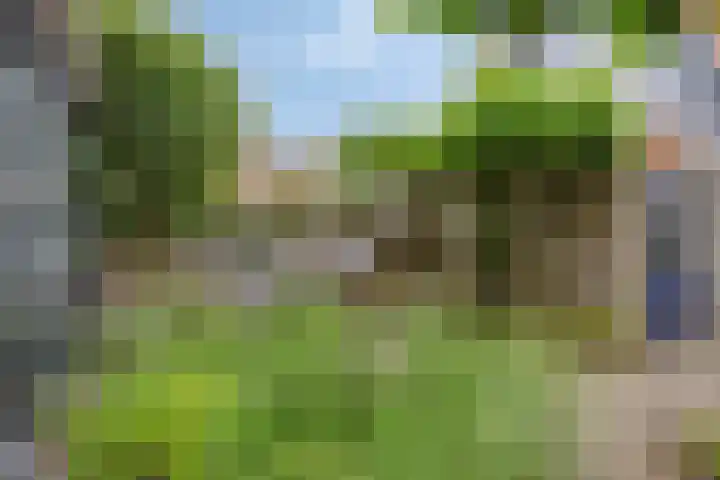 Vlaamse Gaai 9 Zeewolde thumbnail 37