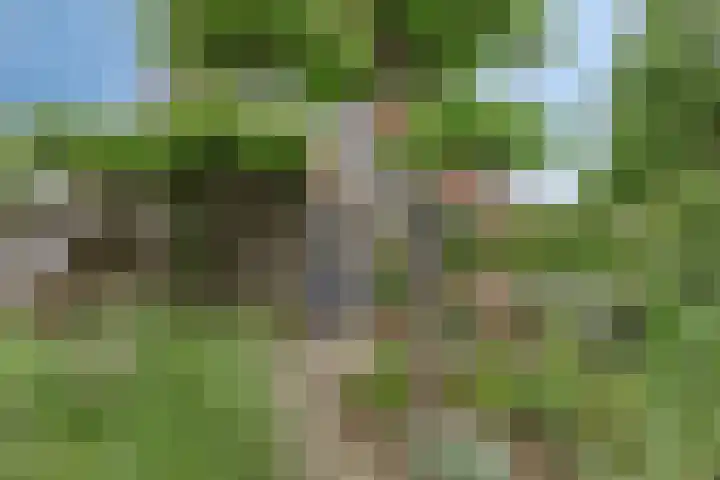 Vlaamse Gaai 9 Zeewolde thumbnail 38