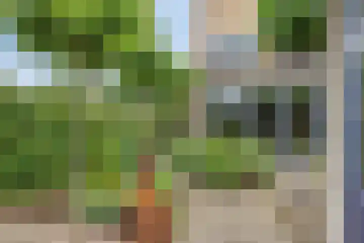 Vlaamse Gaai 9 Zeewolde thumbnail 39
