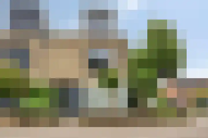 Vlaamse Gaai 9 Zeewolde thumbnail 4