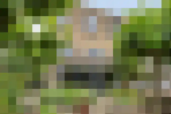 Vlaamse Gaai 9 Zeewolde thumbnail 40