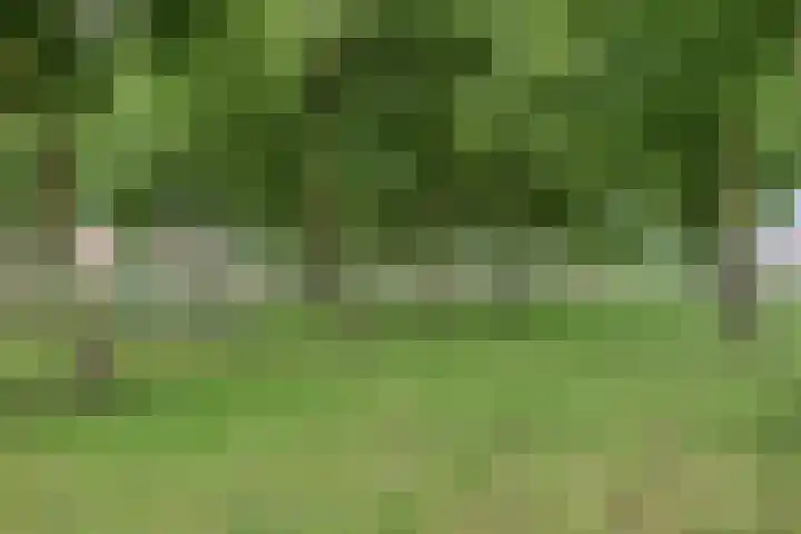Vlaamse Gaai 9 Zeewolde thumbnail 41