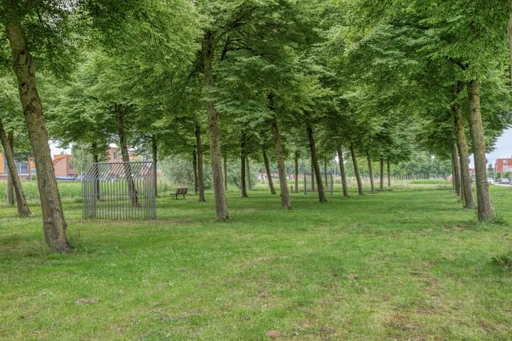 Vlaamse Gaai 9 Zeewolde thumbnail 41