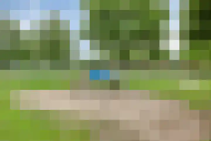 Vlaamse Gaai 9 Zeewolde thumbnail 42