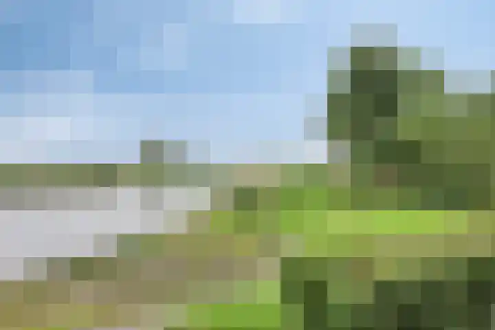 Vlaamse Gaai 9 Zeewolde thumbnail 43