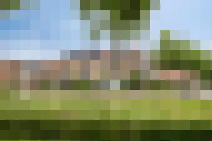 Vlaamse Gaai 9 Zeewolde thumbnail 5