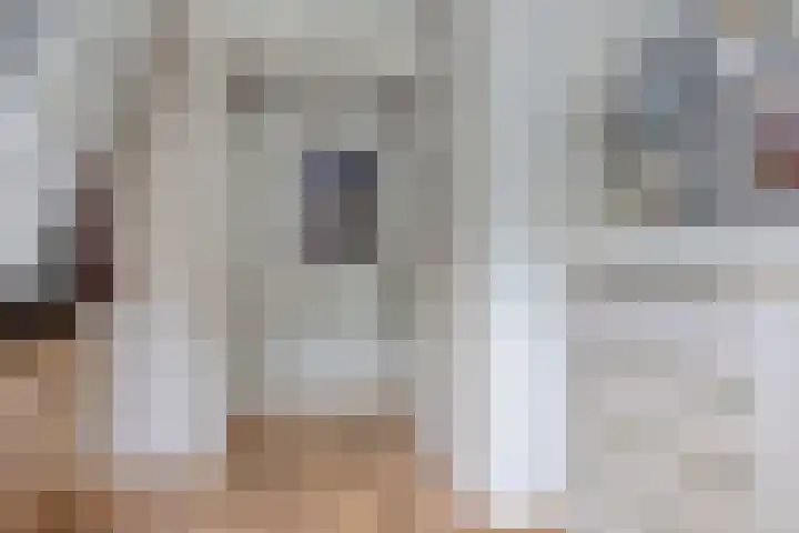 Vlaamse Gaai 9 Zeewolde thumbnail 9
