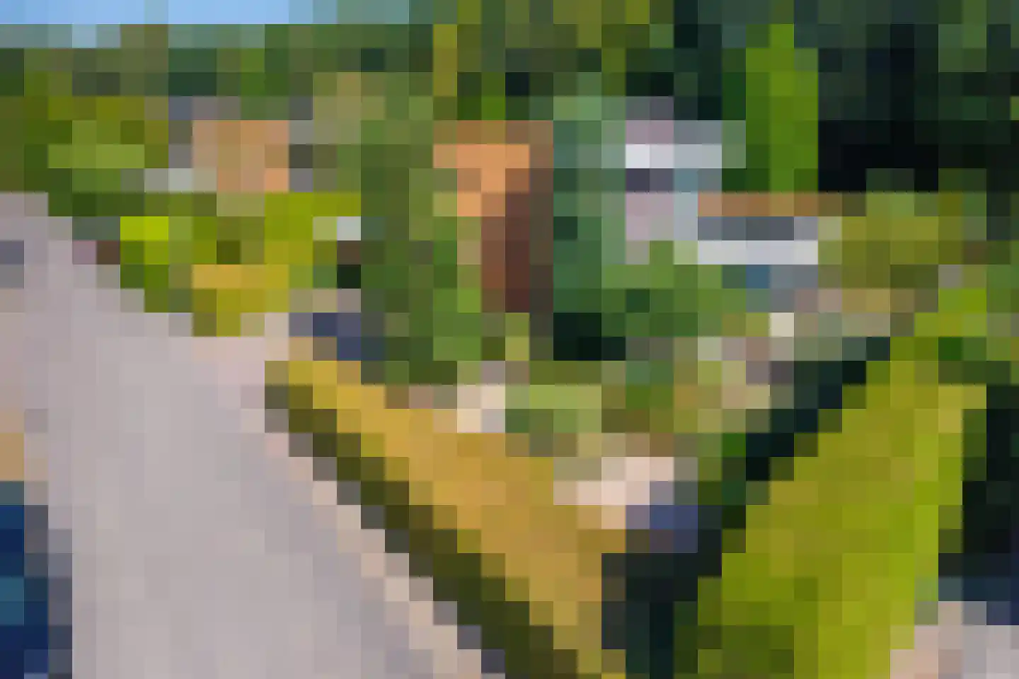 Vlaamse Gaailaan 16 Almere thumbnail 16