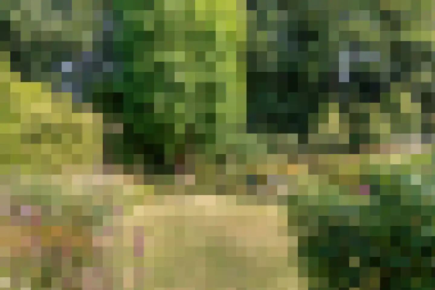 Vlaamse Gaailaan 16 Almere thumbnail 73