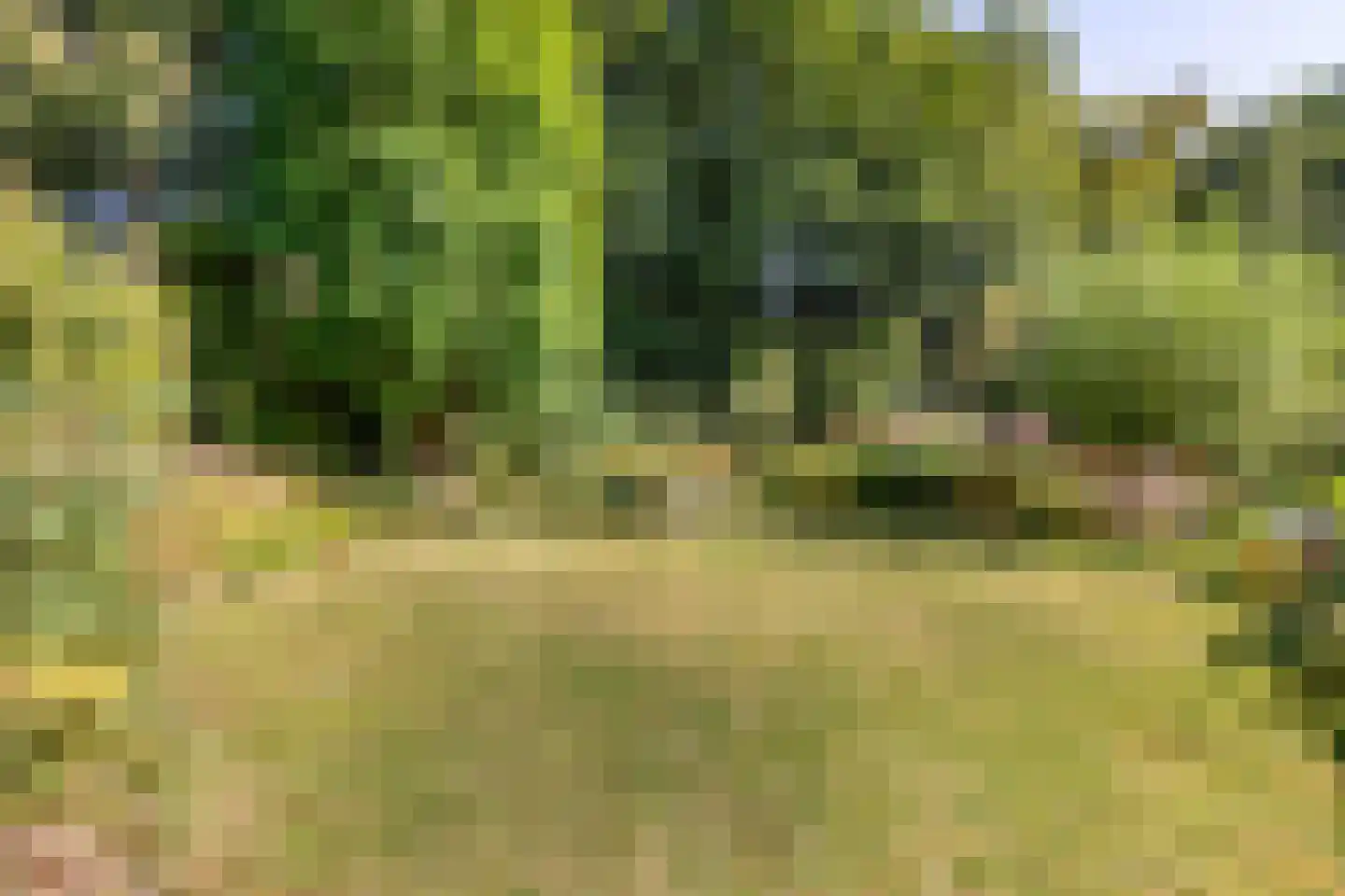 Vlaamse Gaailaan 16 Almere thumbnail 75