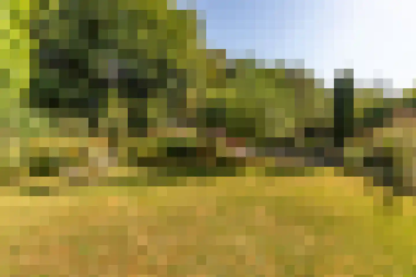 Vlaamse Gaailaan 16 Almere thumbnail 76