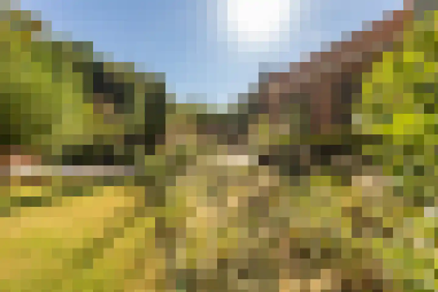 Vlaamse Gaailaan 16 Almere thumbnail 77