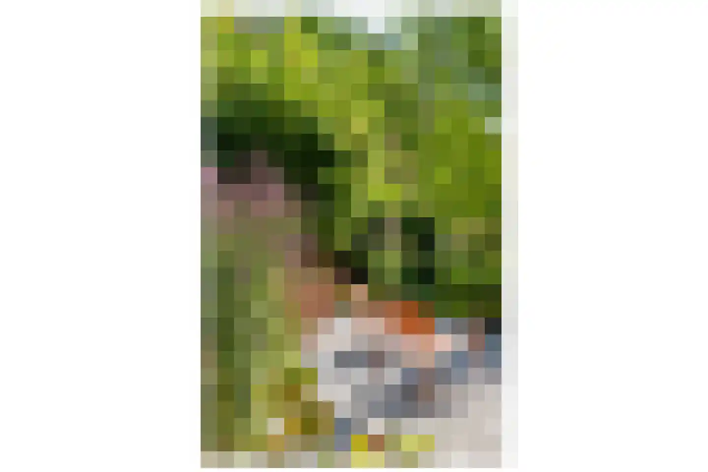 Vlaamse Gaailaan 16 Almere thumbnail 82