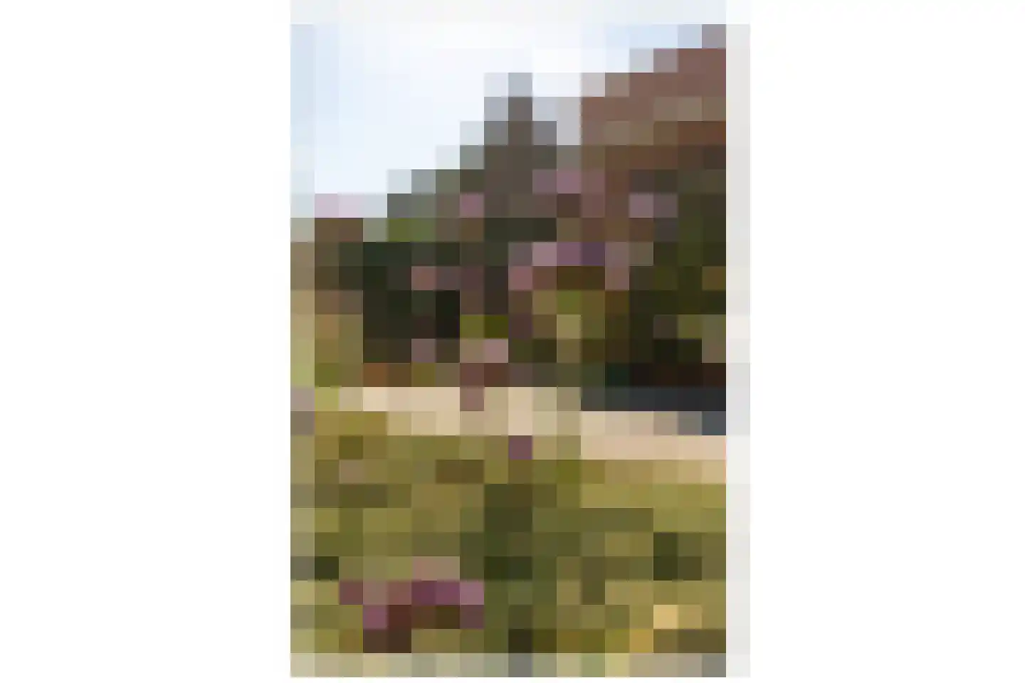 Vlaamse Gaailaan 16 Almere thumbnail 84