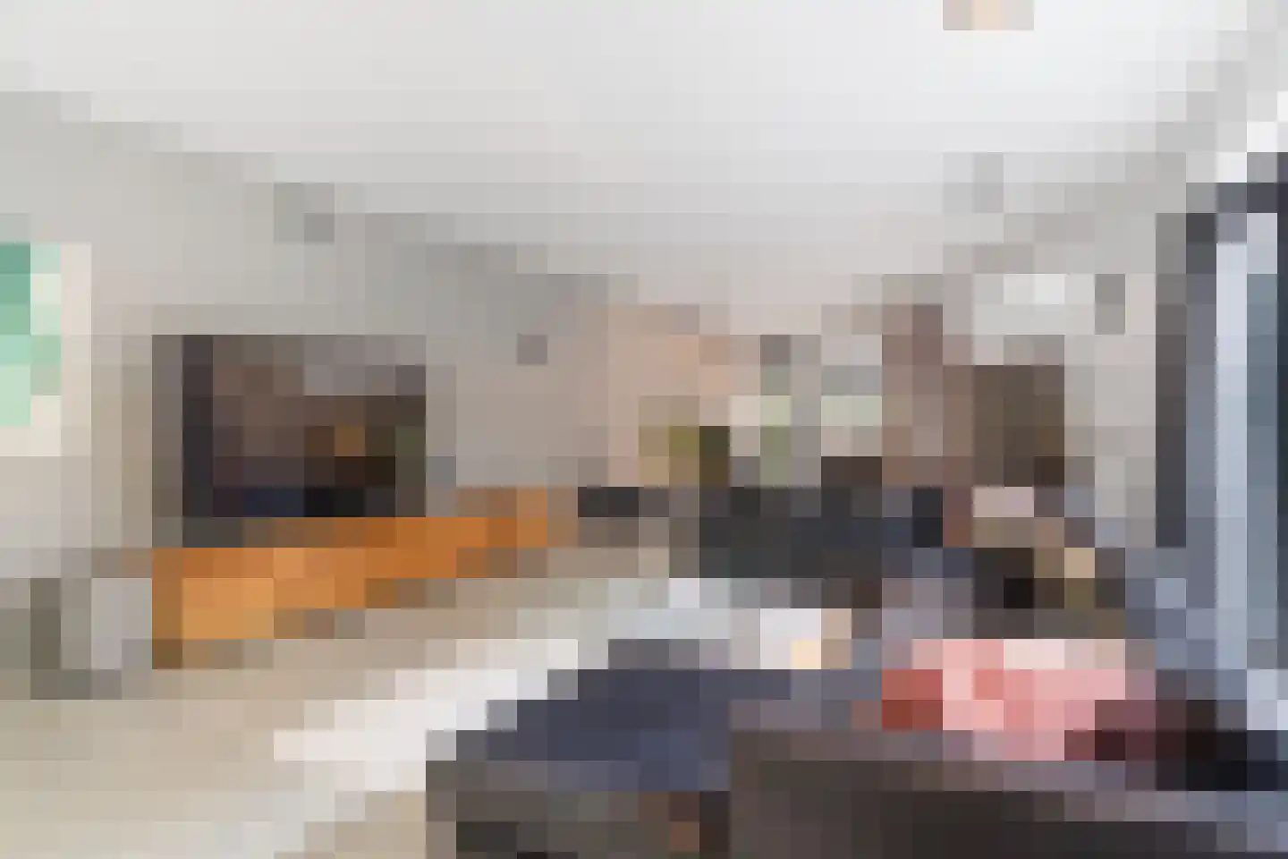 Vlaamse Gaailaan 25 Almere thumbnail 25