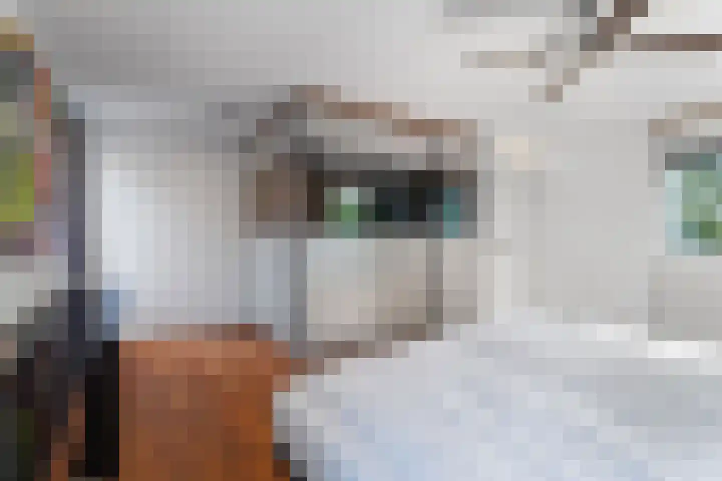 Vlaamse Gaailaan 25 Almere thumbnail 33