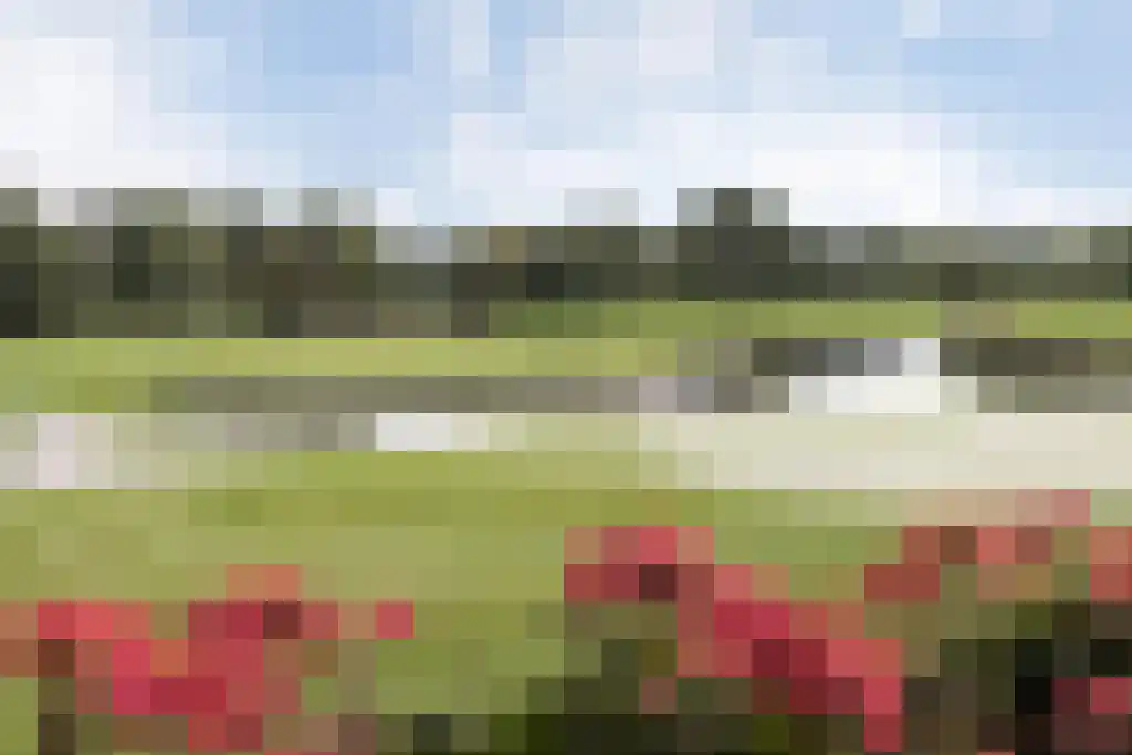 Vlaamse Gaailaan 25 Almere thumbnail 66