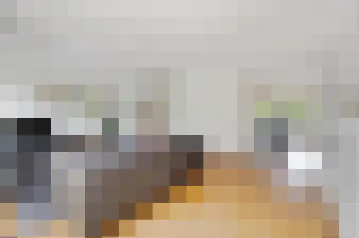 Vlaamse Schuur 2 Etten-Leur thumbnail 11