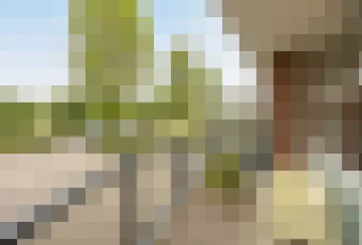 Vlaamse Schuur 2 Etten-Leur thumbnail 13