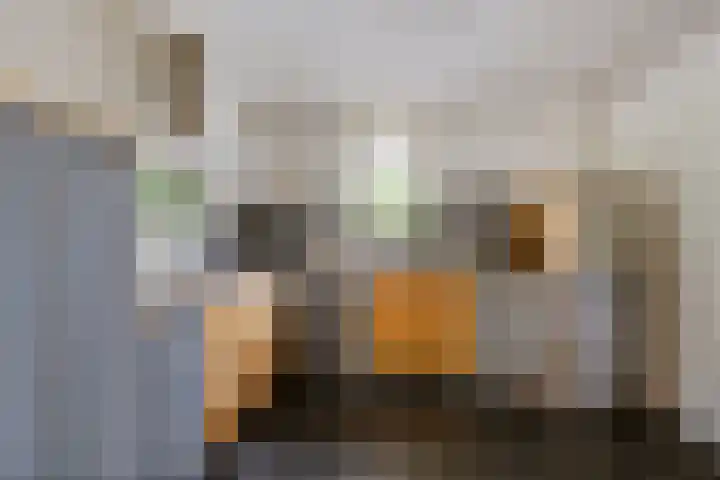 Vlaamse Schuur 2 Etten-Leur thumbnail 15