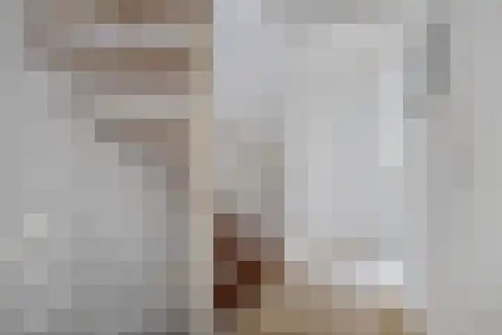 Vlaamse Schuur 2 Etten-Leur thumbnail 17