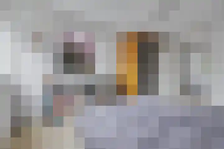 Vlaamse Schuur 2 Etten-Leur thumbnail 20