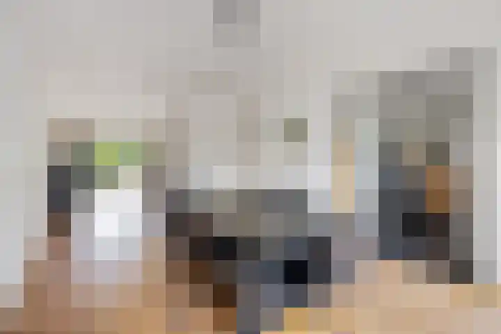 Vlaamse Schuur 2 Etten-Leur foto 3