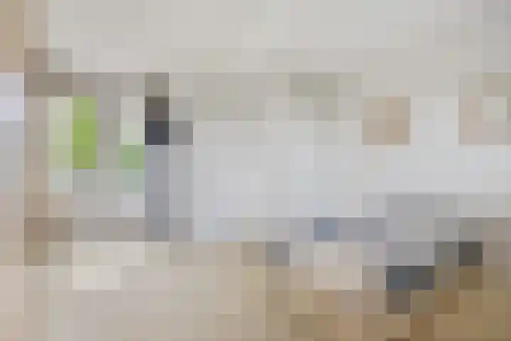 Vlaamse Schuur 2 Etten-Leur thumbnail 31