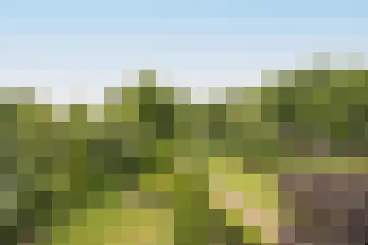 Vlaamse Schuur 2 Etten-Leur thumbnail 33