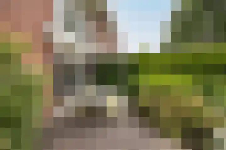 Vlaamse Schuur 2 Etten-Leur thumbnail 37