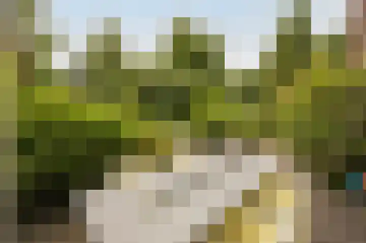 Vlaamse Schuur 2 Etten-Leur thumbnail 38