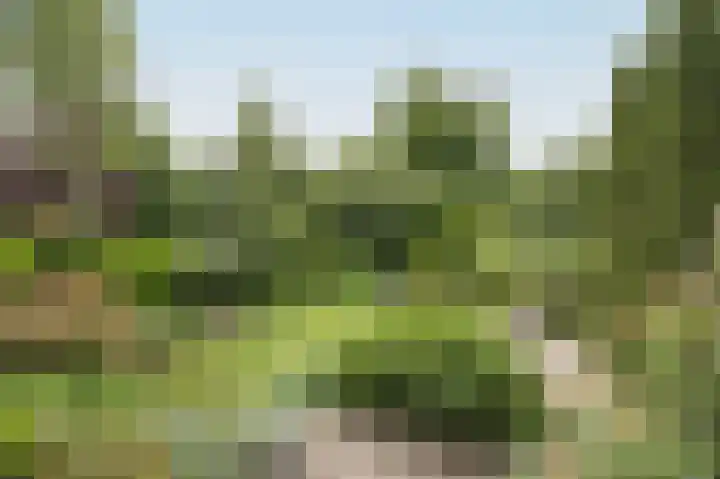 Vlaamse Schuur 2 Etten-Leur thumbnail 39