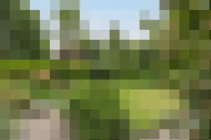 Vlaamse Schuur 2 Etten-Leur thumbnail 40