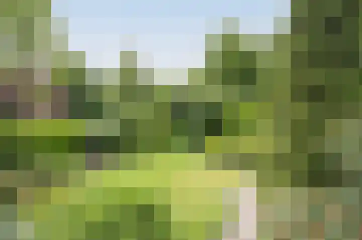 Vlaamse Schuur 2 Etten-Leur thumbnail 41