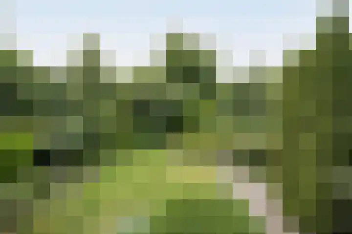 Vlaamse Schuur 2 Etten-Leur thumbnail 42