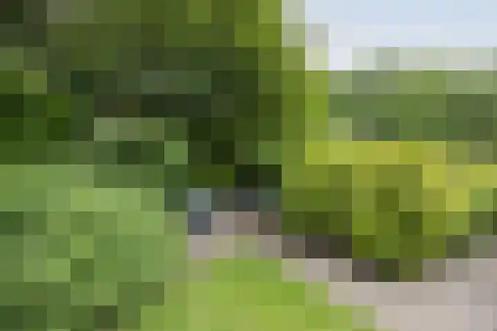 Vlaamse Schuur 2 Etten-Leur thumbnail 43