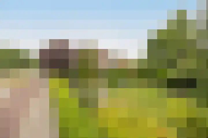 Vlaamse Schuur 2 Etten-Leur thumbnail 44