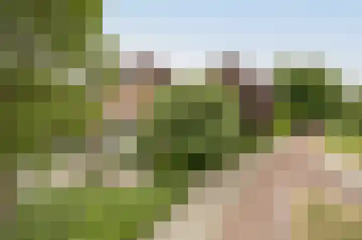 Vlaamse Schuur 2 Etten-Leur thumbnail 47