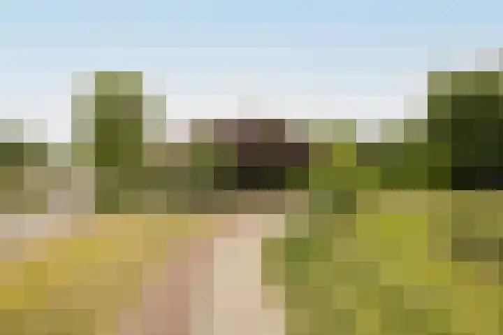 Vlaamse Schuur 2 Etten-Leur thumbnail 48