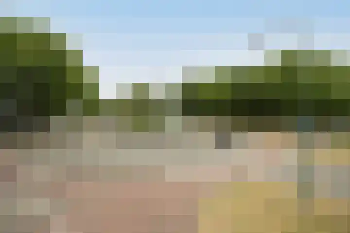 Vlaamse Schuur 2 Etten-Leur thumbnail 49