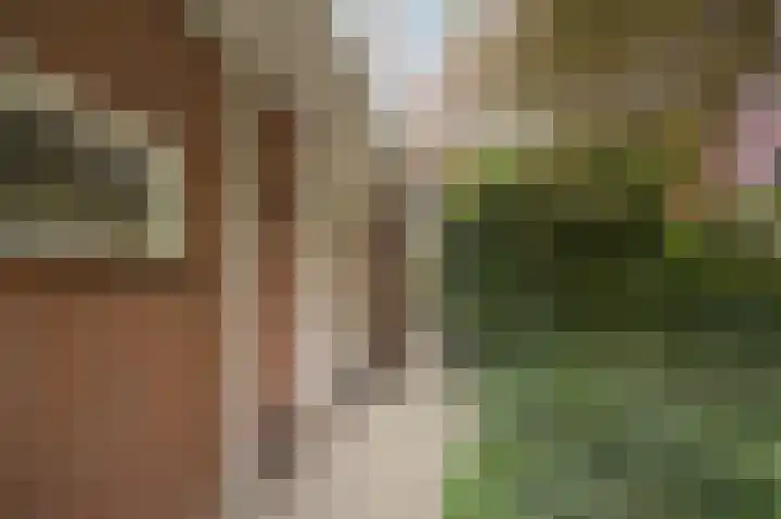 Vlaamse Schuur 2 Etten-Leur thumbnail 5