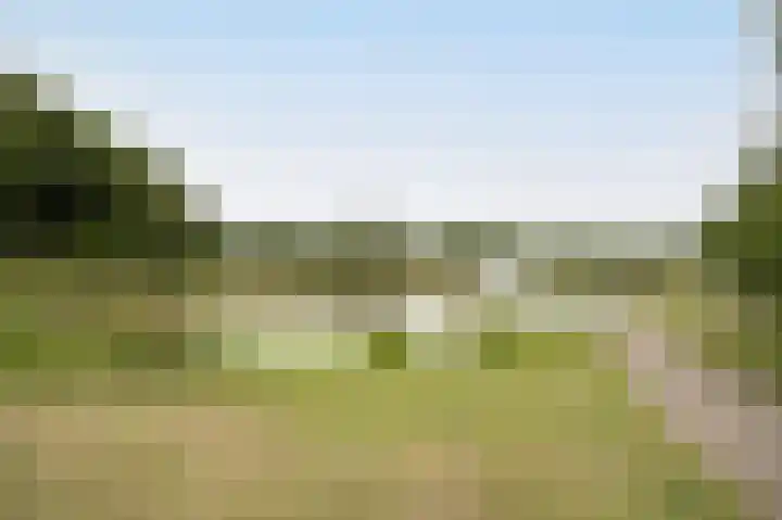 Vlaamse Schuur 2 Etten-Leur thumbnail 50
