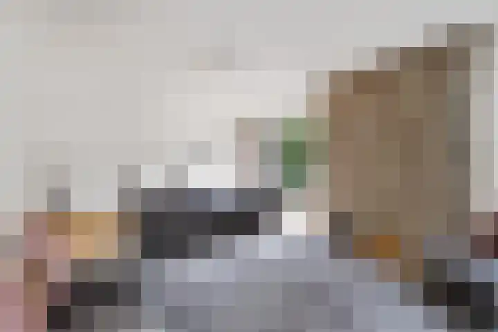 Vlaamse Schuur 2 Etten-Leur thumbnail 8