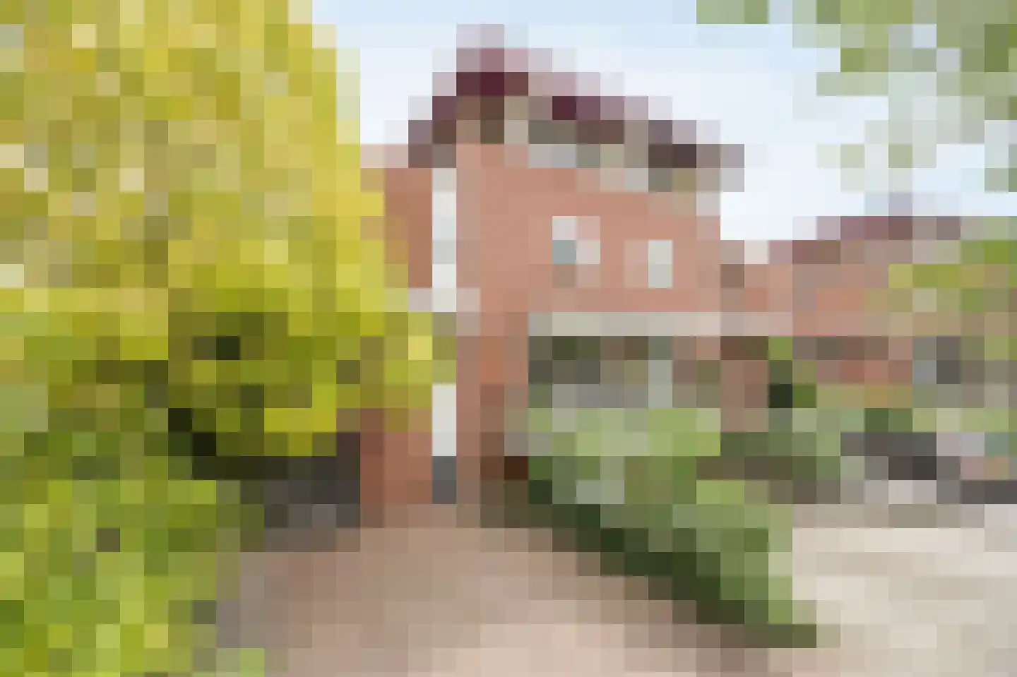Vlaamse Schuur 8 Etten-Leur