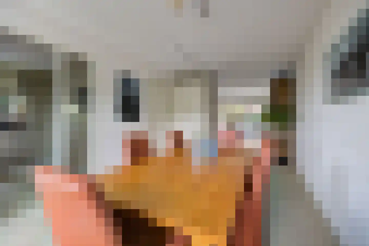 Vlaamse Schuur 8 Etten-Leur thumbnail 17