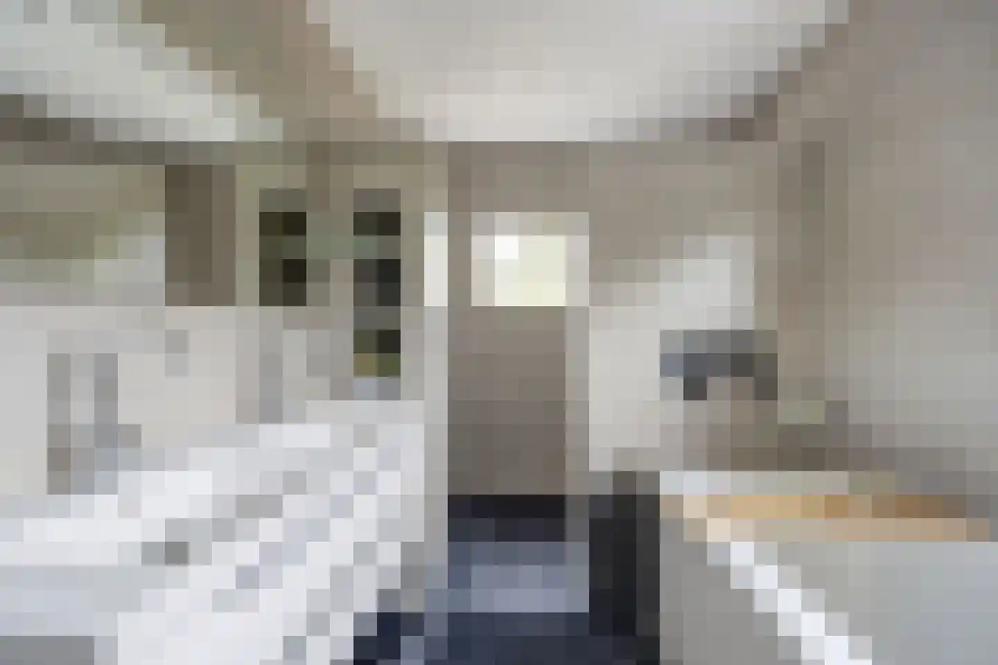 Vlaamse Schuur 8 Etten-Leur thumbnail 32